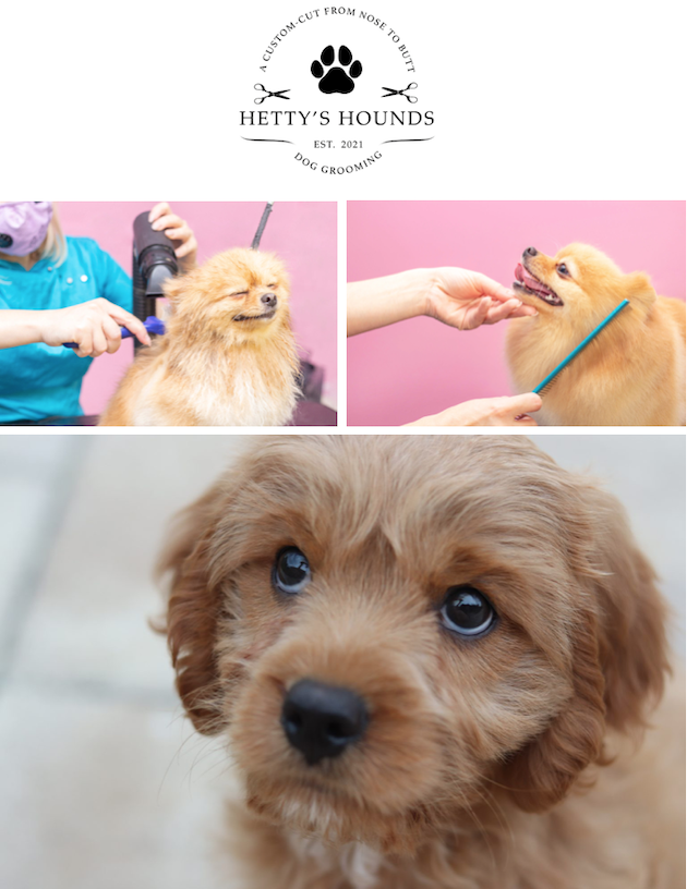 images/HETTYS_HOUNDS.png