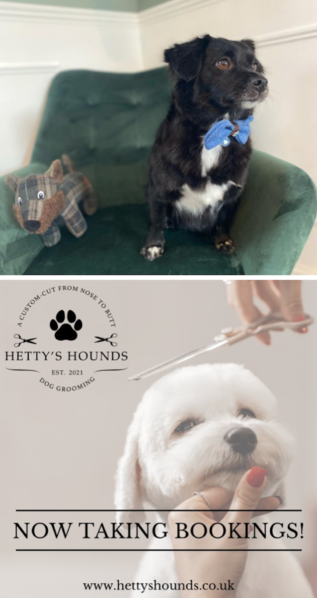 images/HETTYS_HOUNDS_4.png