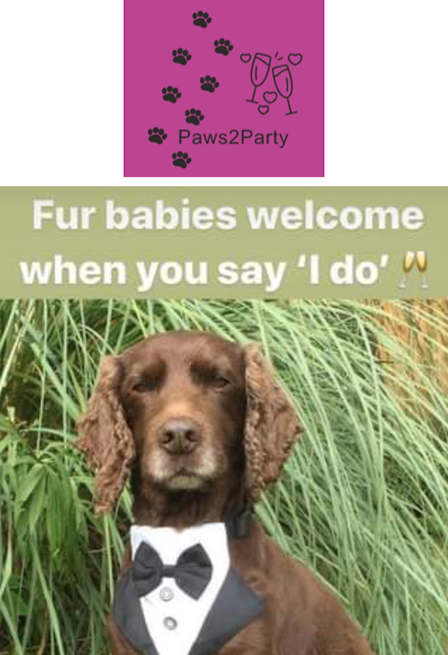 images/paws2party.png