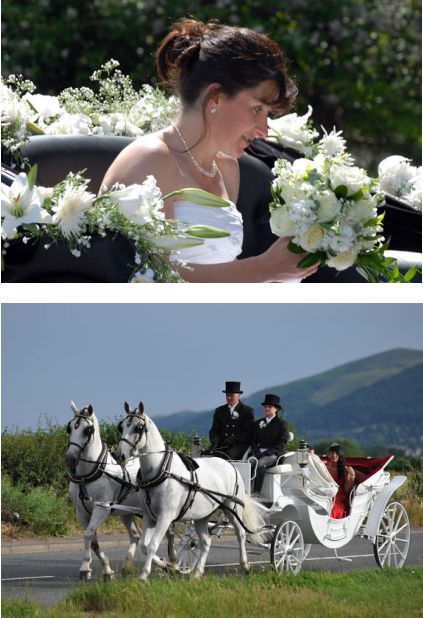 images/advert_images/horse-and-carriage_files/fabulous_occasions_1.jpg