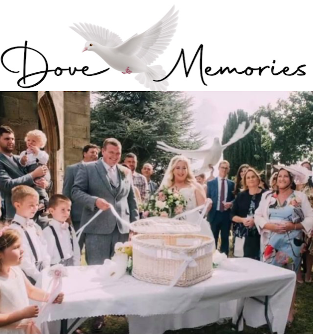 images/dove_memories.png