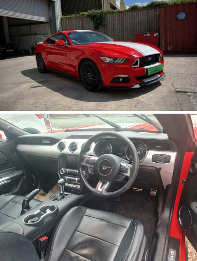 images/mustang_3.png